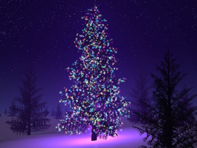[christmas tree2[3].jpg]