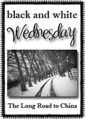 black and white wednesday