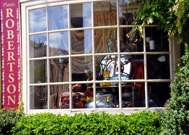 chestnut hill 3
