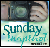 sunday snapshot