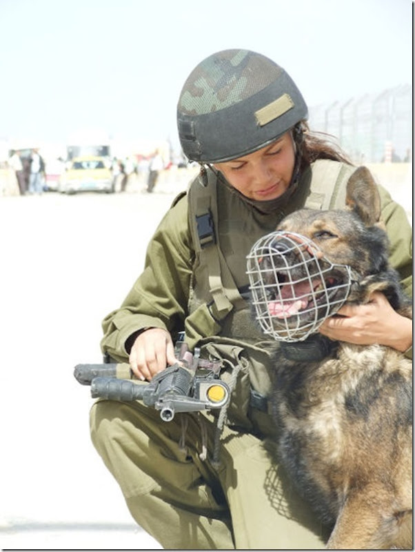 Garotas da Defesa de Israel (26)