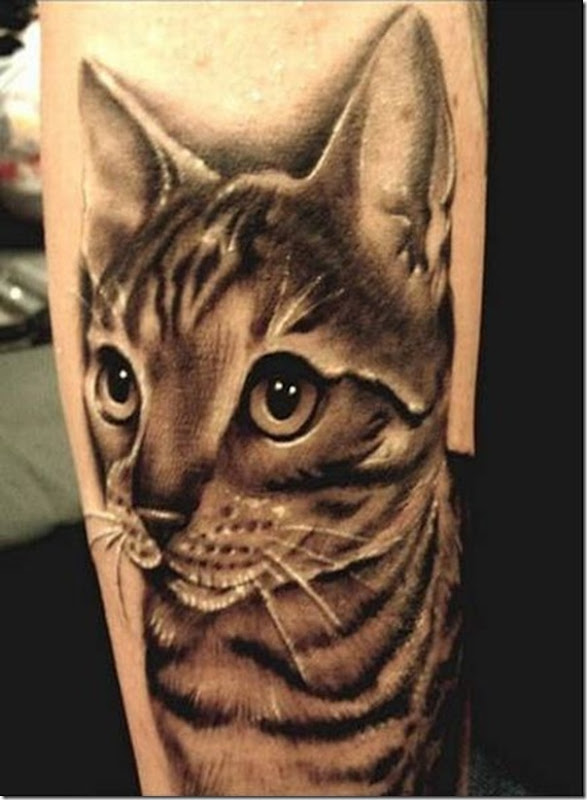 Tatuagem de gatos