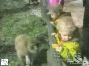gif_01 gif_01