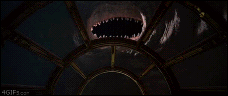 gif_05 gif_05