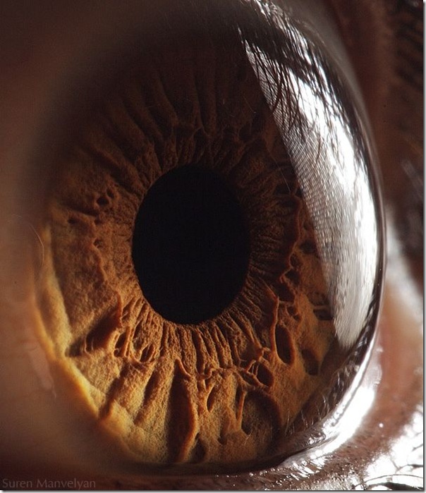 Fotos macro de olhos humanos (19)