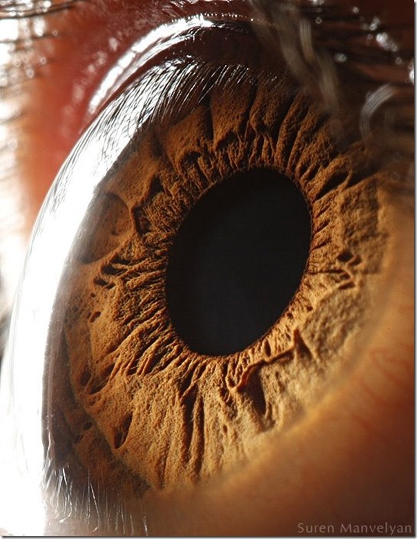 Fotos macro de olhos humanos (17)