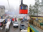 P5090849.JPG