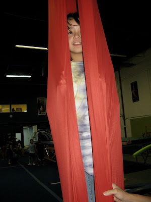 The beautiful butterfly emerges from her coccoon.