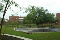 DSC_0163.JPG