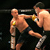 CR25_AndrewsShamrock_175.jpg