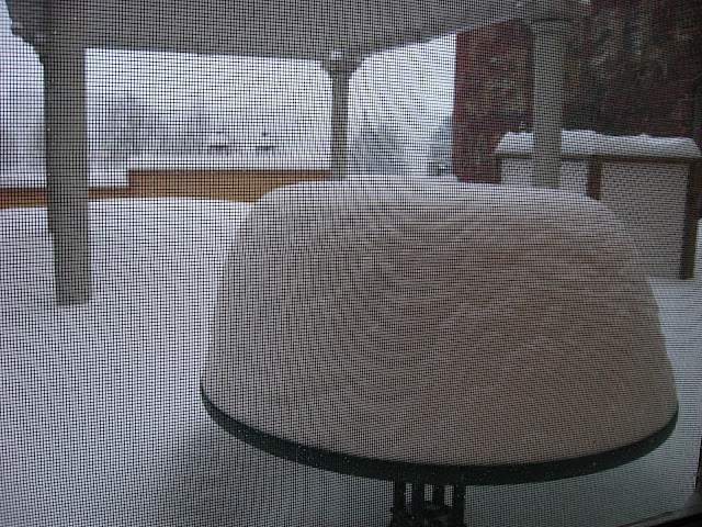 This is our patio table this afternoon. Refer to the picture in my entry, We woke up to this... to see what it looked like just yesterday. 