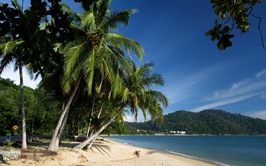 800px-pangkor