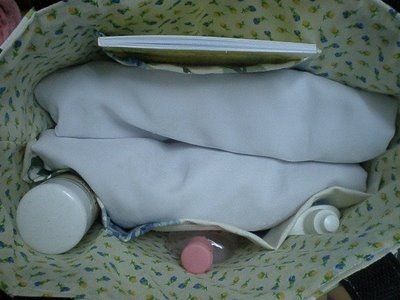 [bag2[3].jpg]
