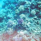 Egypt - Taba 2004