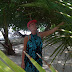 Fiona in the trees