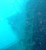 Kuda Giri Wreck dive