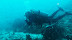 Neil Cata Thila dive. Courtesy of Chris Colyer