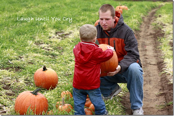 pumpkin5