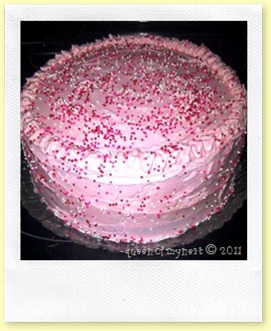 Cheesecake5 Cheesecake5