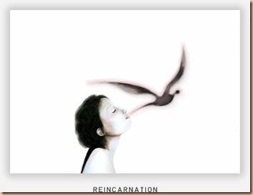 reincarnation - sara broski