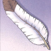 25ligero.JPG