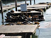 Sea lions at Pier 39
