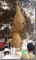 Day 1 at Kala Ghoda Festival