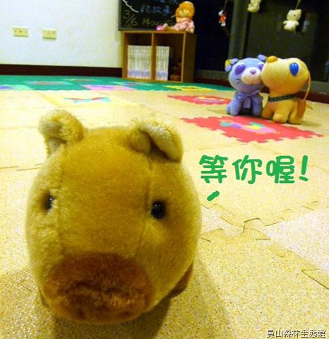 [story corner_pig1[13].jpg]