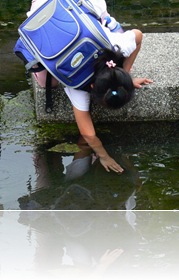 水龍頭森林 水龍頭森林