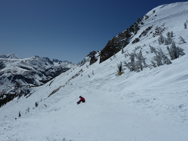 P1000130.JPG