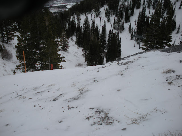 DSCN0137.JPG