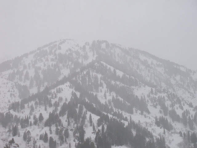DSCN0175.JPG