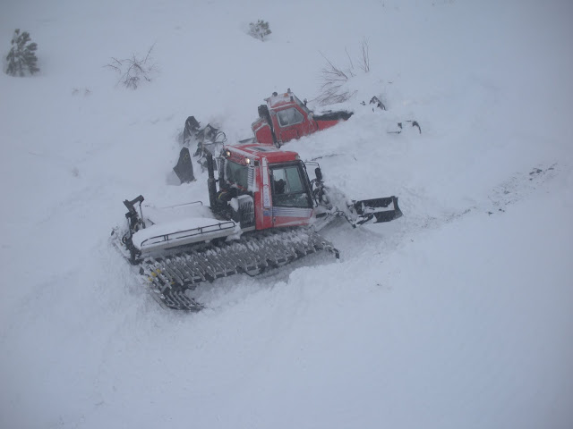 DSCN0408.JPG