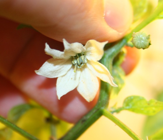 [IMG_2714[3].jpg]