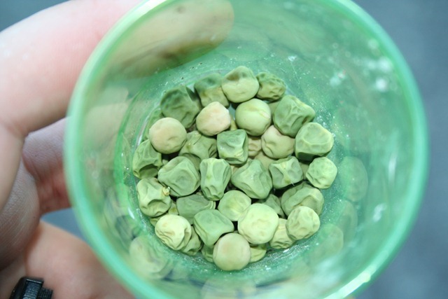 [013[3].jpg]