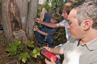 20090904_pid51873_aid51869_treepowergroup_w600