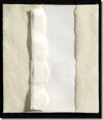 howdeshell_spine5_blog