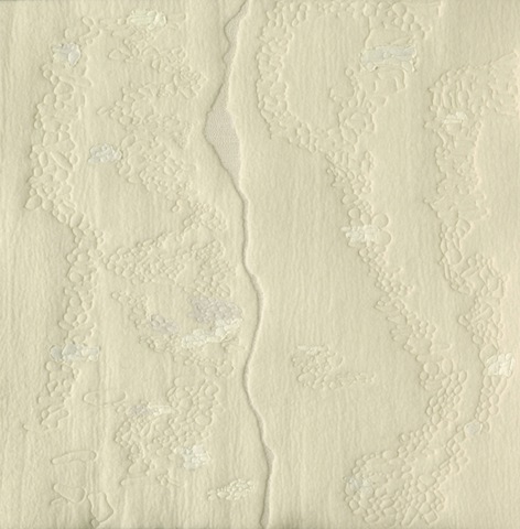 [howdeshell_geomorphology_blog[2].jpg]