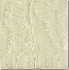 howdeshell_geomorphology_blog