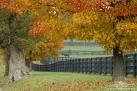 [fall[2].jpg]