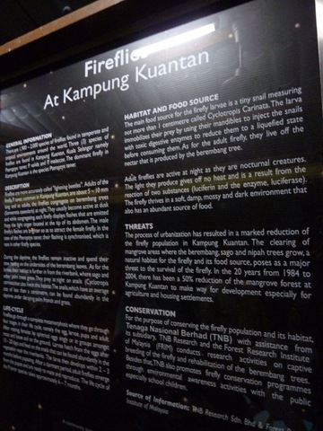 [P11305373.jpg]