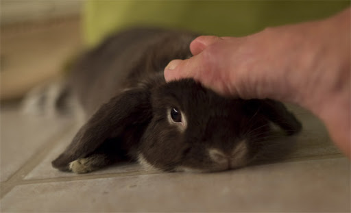 massage