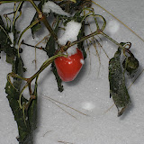 IMG_3648.JPG