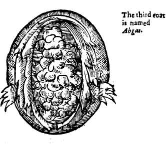[image5.png]