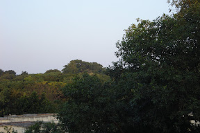 DSC01187.JPG