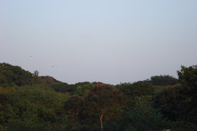 DSC01189.JPG