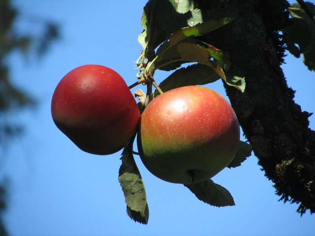 [IMG_10954.jpg]