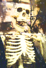 [skeletonmagical3.png]