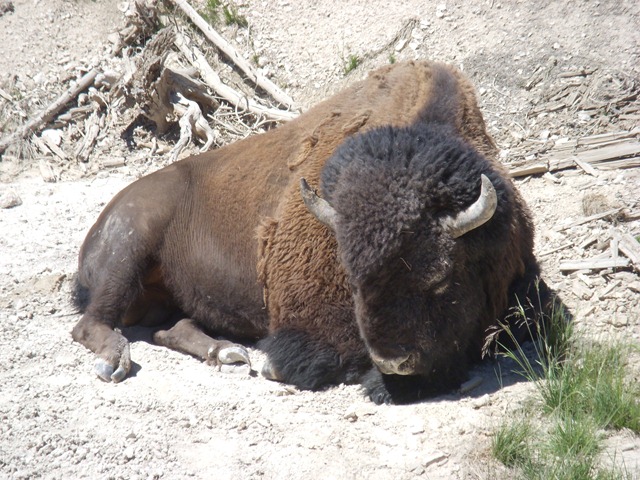 [vacation 2010 094[3].jpg]