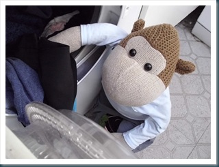 Monkey Loading the Tumble Dryer 2